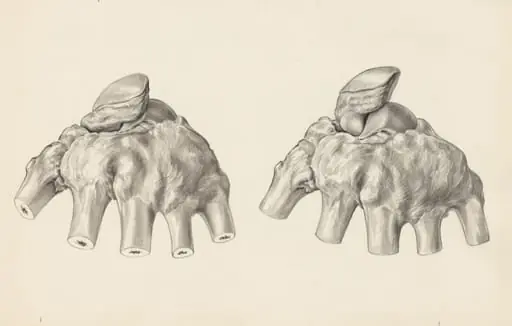 Musculoskeletal system of the hand