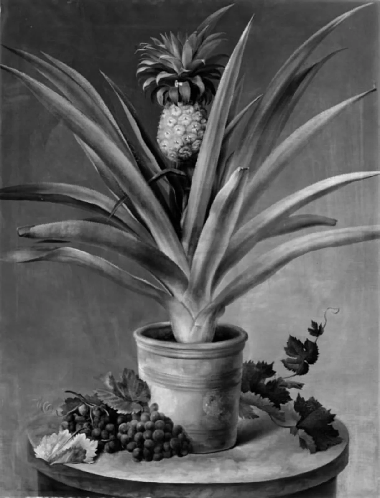 En ananas i urtepotte og druer på et stenbord, by Unknown, 1850
