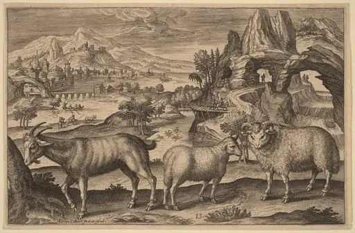 A Goat, a Ewe, and a Ram