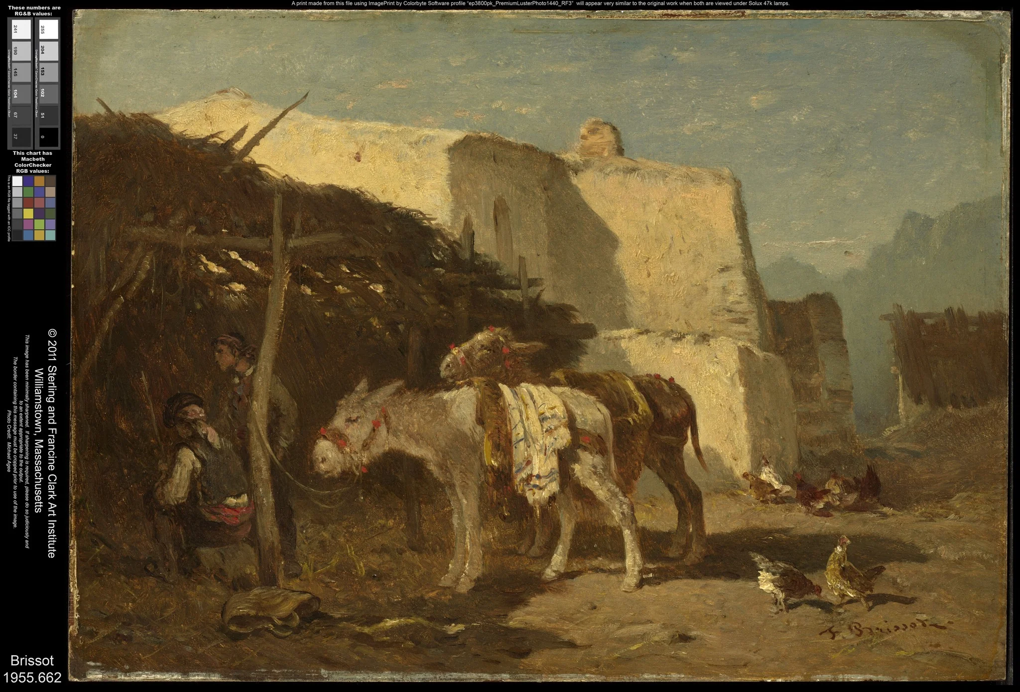 Spanish Donkeys