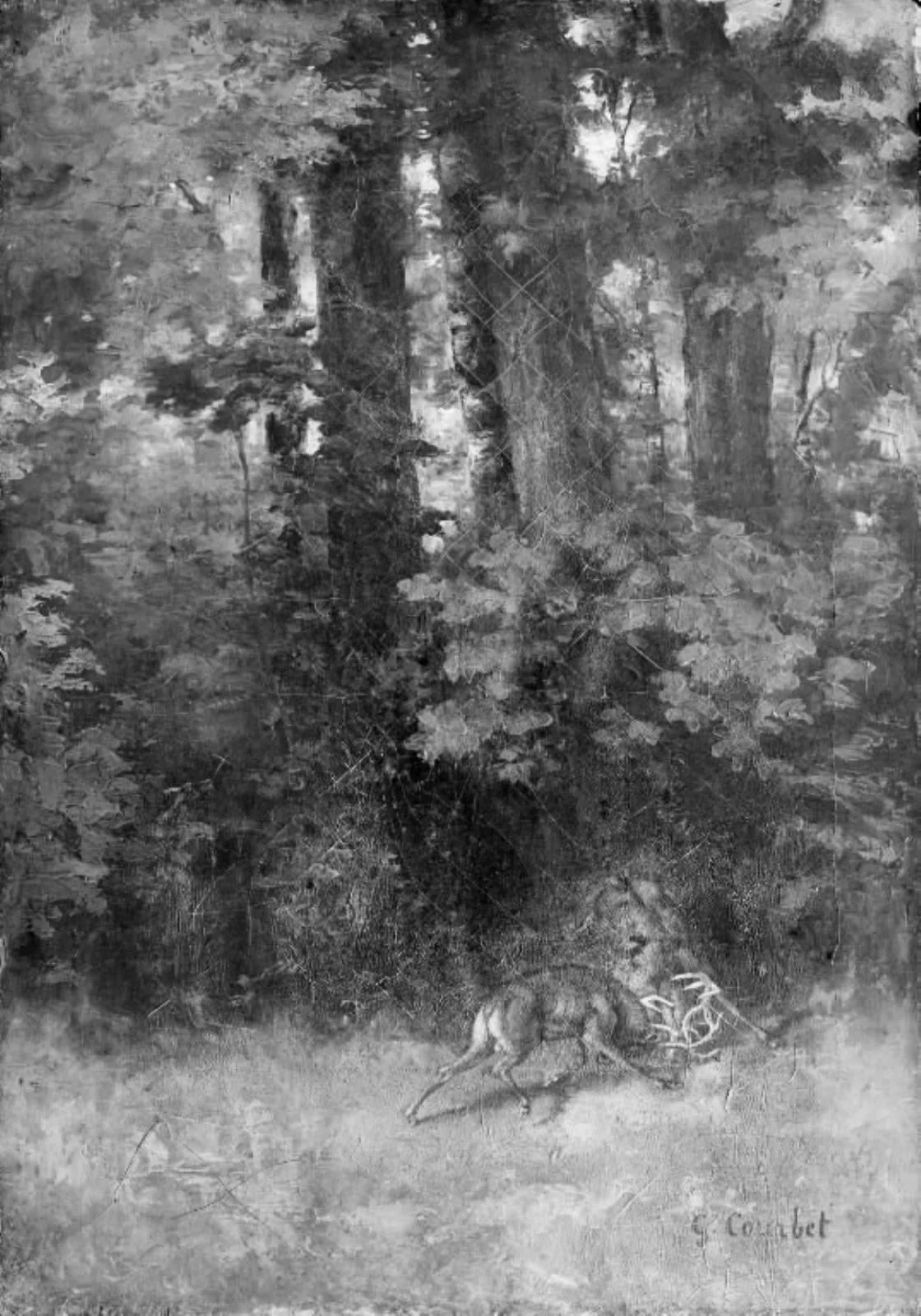 Fighting Stags in a Forest, by Unknown, 1850