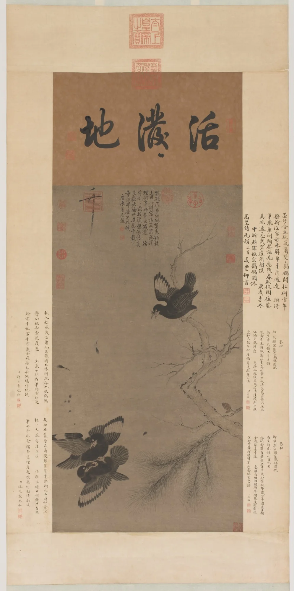 Fighting Mynah Birds, by Unknown, unspecified