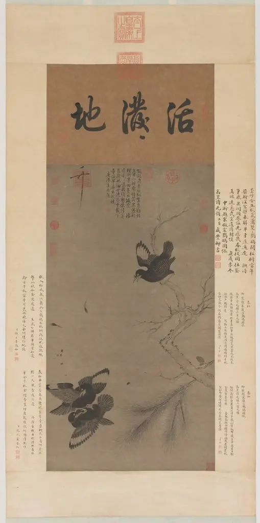 Fighting Mynah Birds