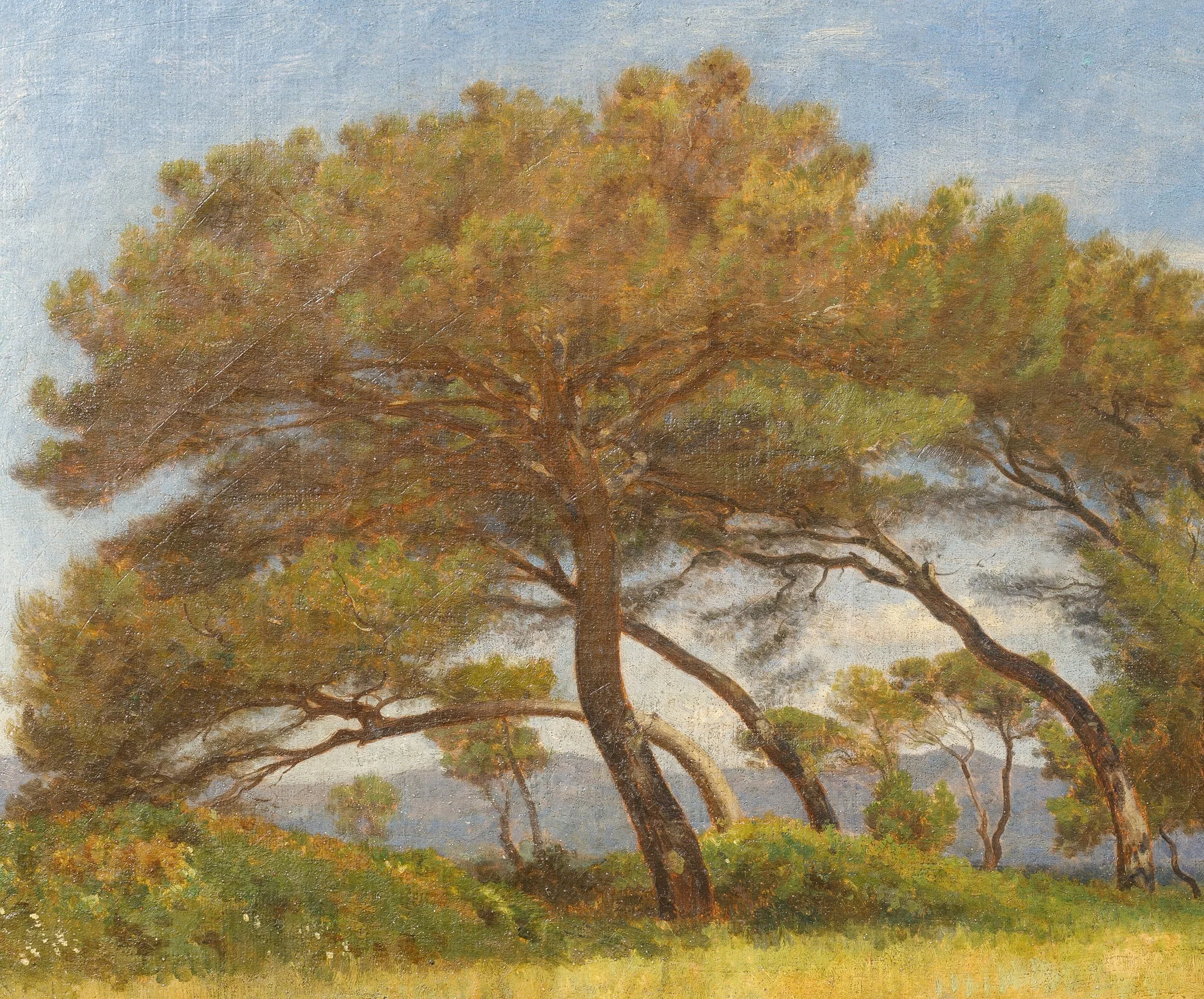 Peisaj la Barbizon, by Unknown, unspecified, 1850