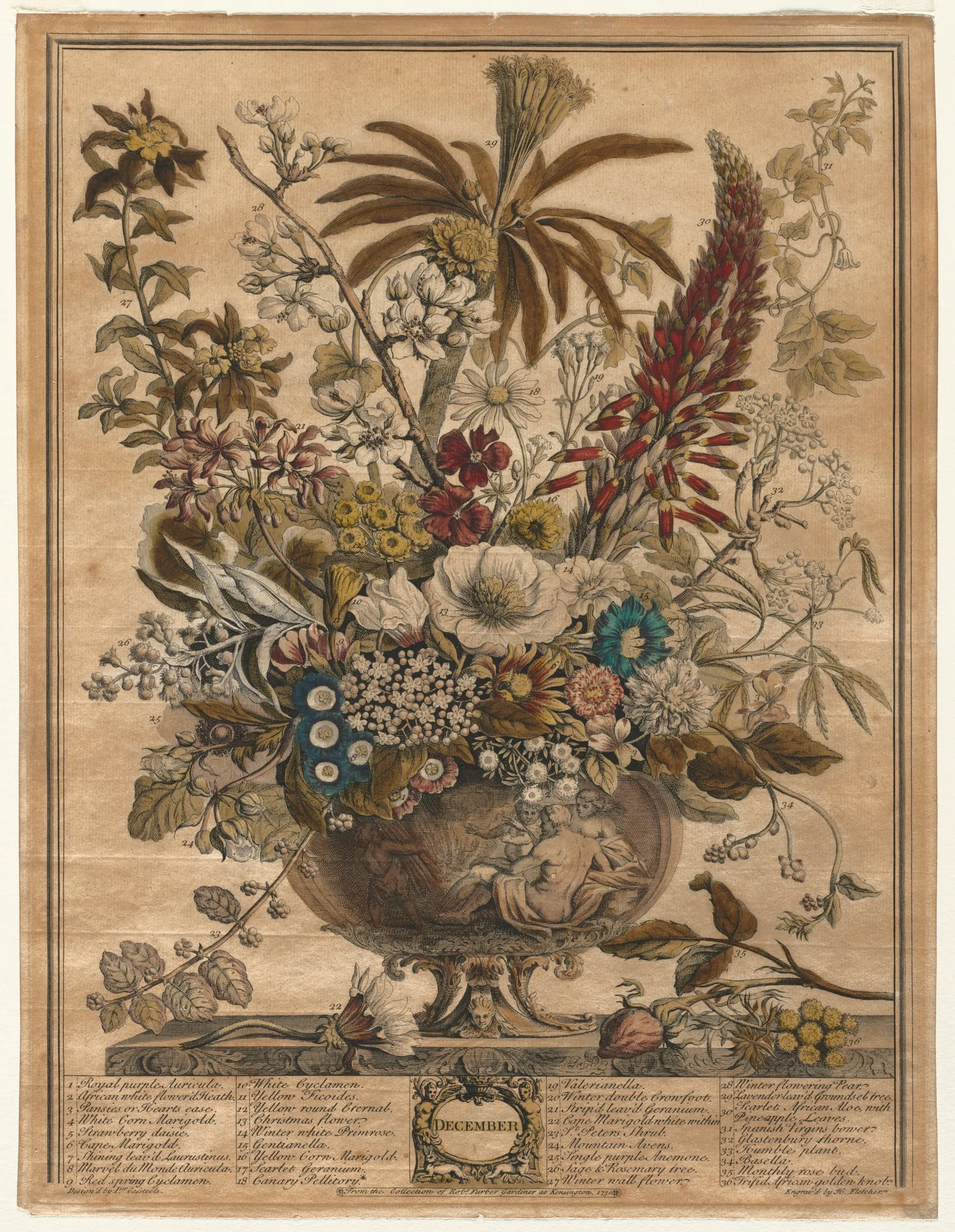 Twelve Months of Flowers:  December