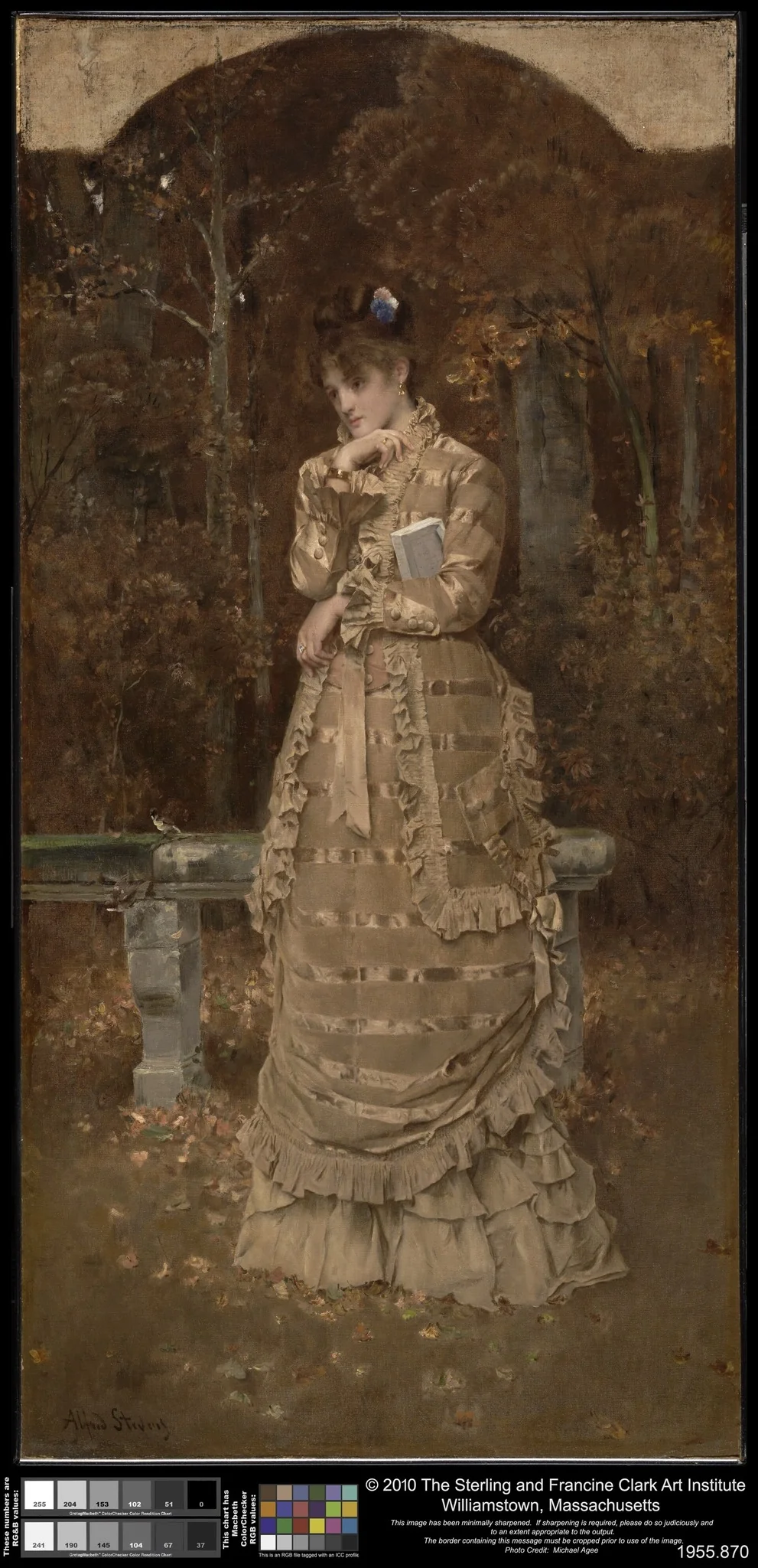Fall