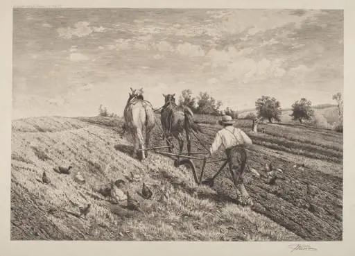 The Ploughman