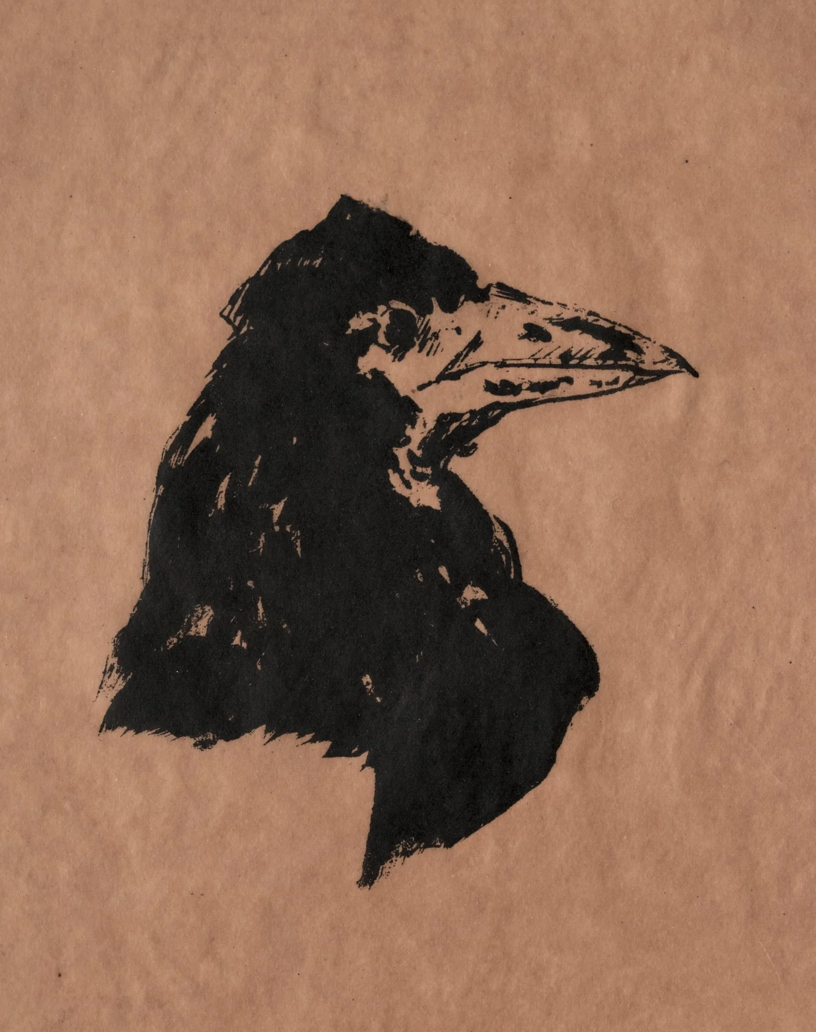 Raven's Head in Profile, by Edouard Manet, 1875