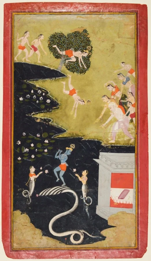 Krishna Quells the Serpent Kaliya, from a Bhagavata Purana, by Unknown, unspecified, 1710