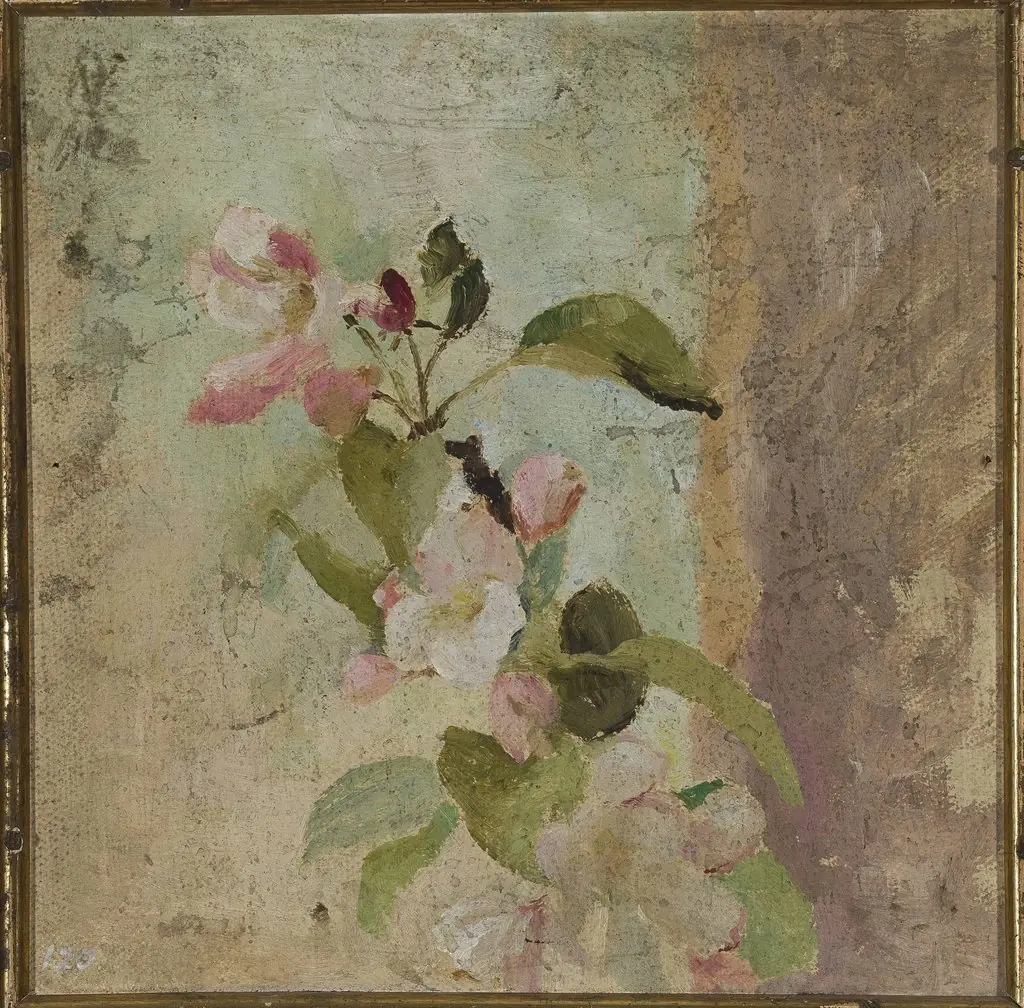 Apple blossoms