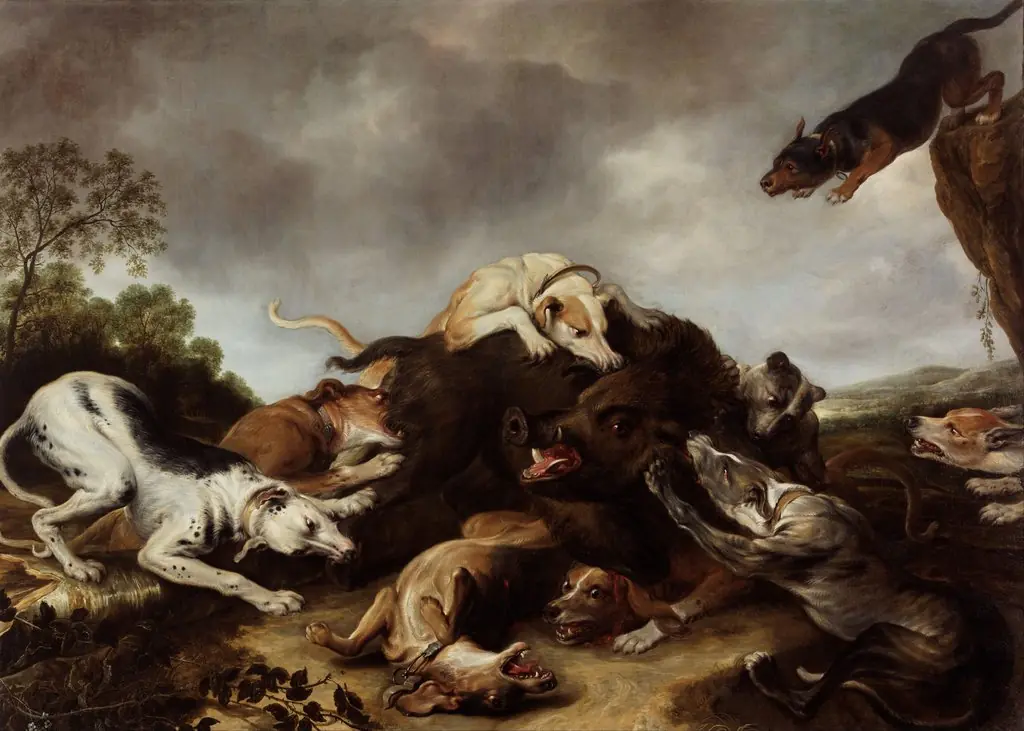 The boar hunt