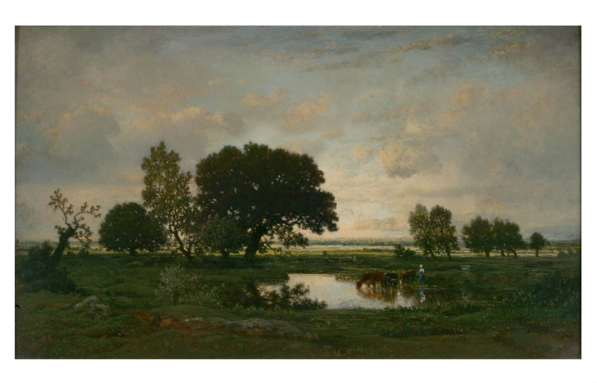 The Pond