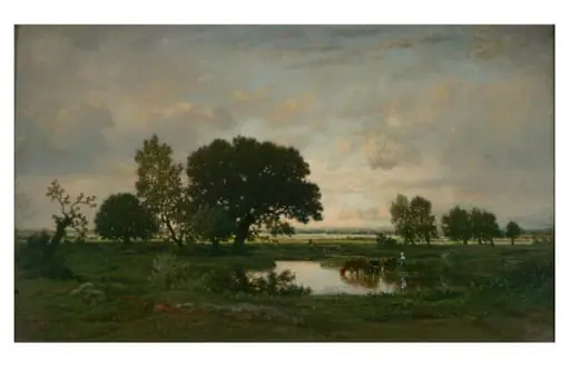 The Pond
