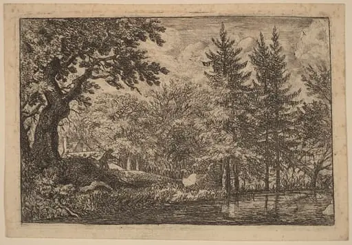 Fir Trees at the Water