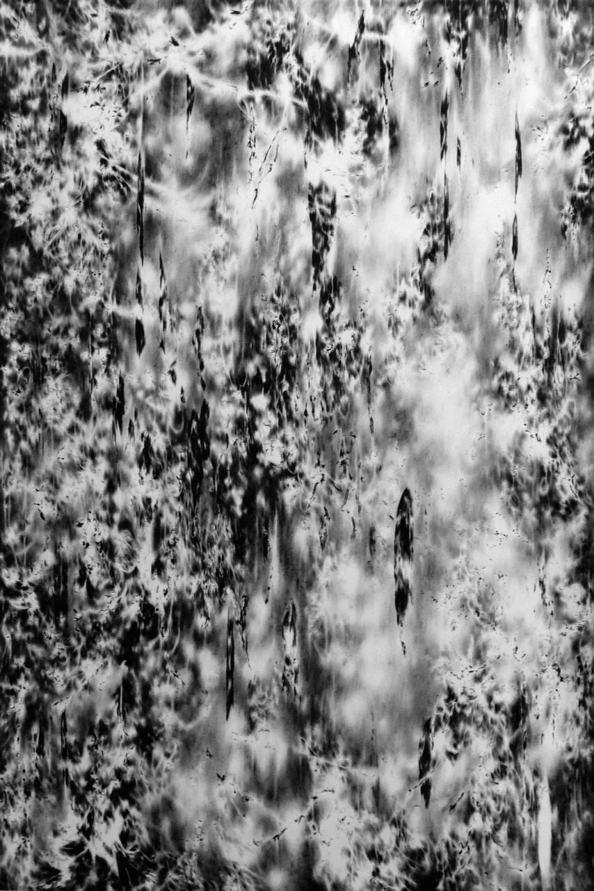 Steiner, Julia - Zeichnung, Malerei, vertical space (hanging-growing) I, by Julia Steiner, unspecified, 2012