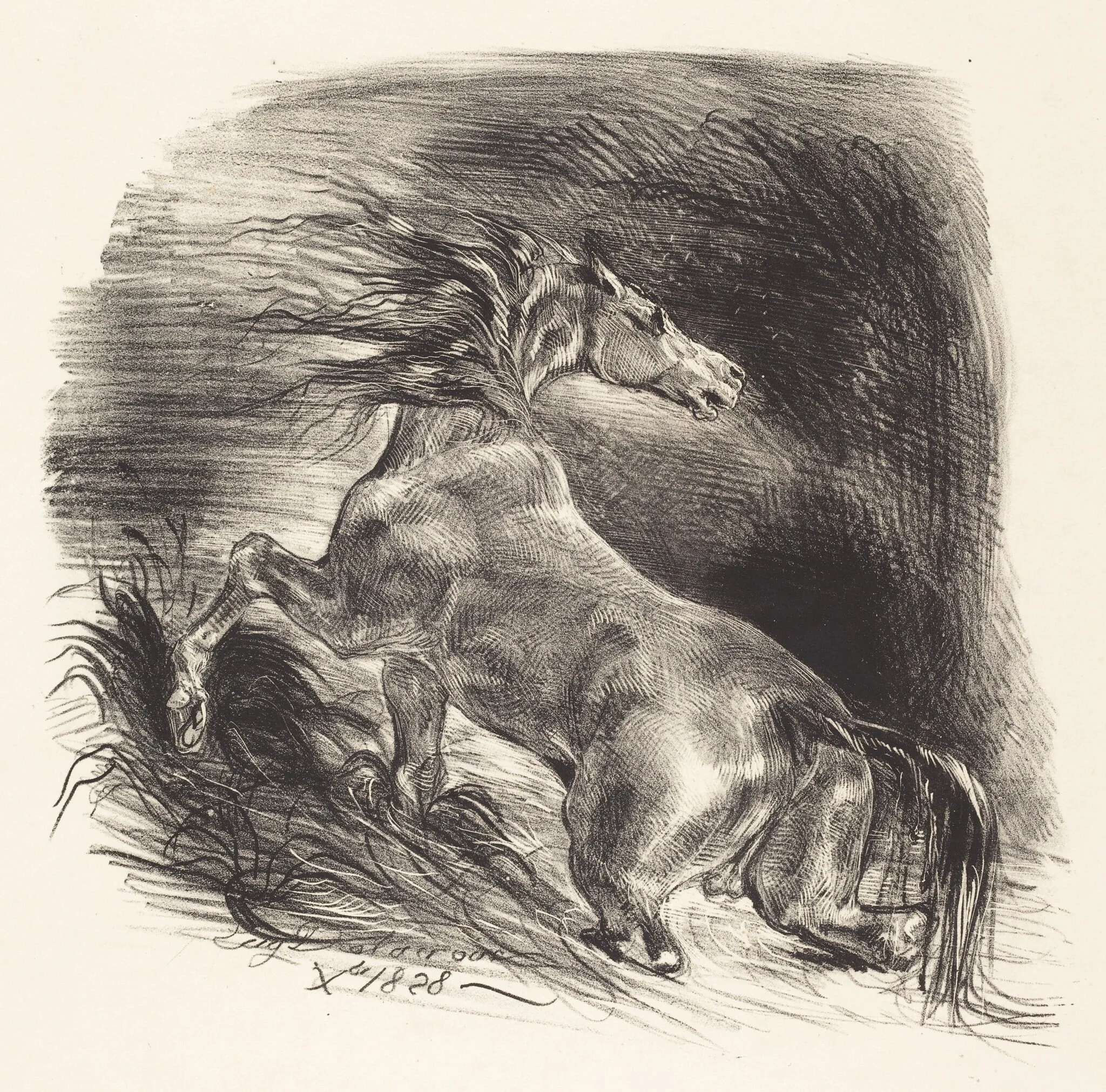 Wild Horse Coming out of the Water (Cheval sauvage), by Eugène Delacroix, ink, 1828