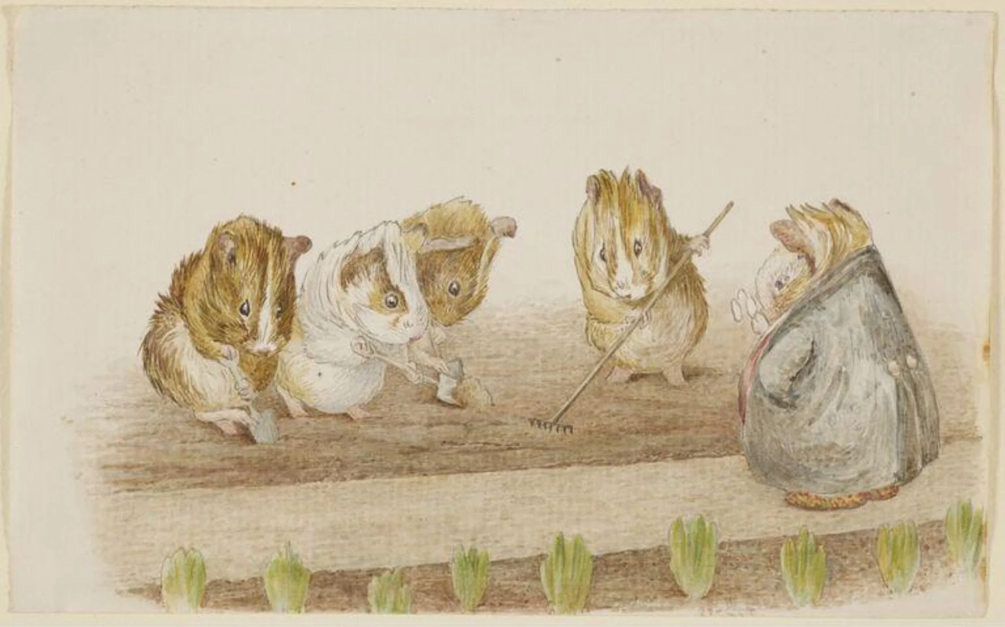 Guinea pigs gardening, by Beatrix Potter, watercolor, 1893