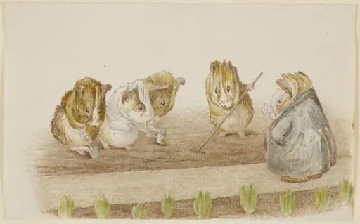 Guinea pigs gardening