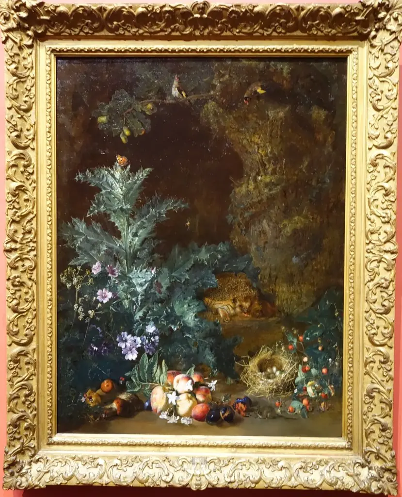 Plants and Fruits with Hedgehog