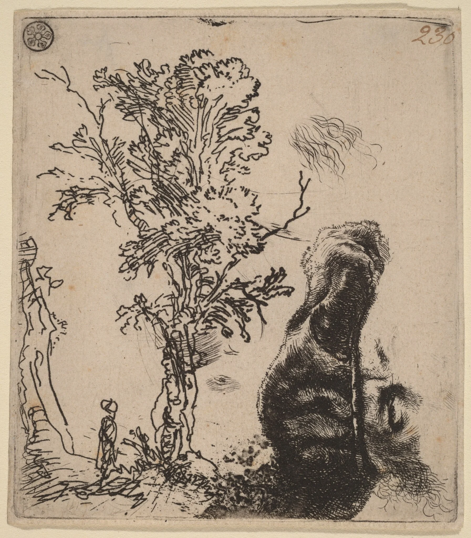 Sheet with Two Studies:  a Tree, and the Upper Part of a Head of the Artist Wearing a Velvet Cap, by Rembrandt, ink, 1642