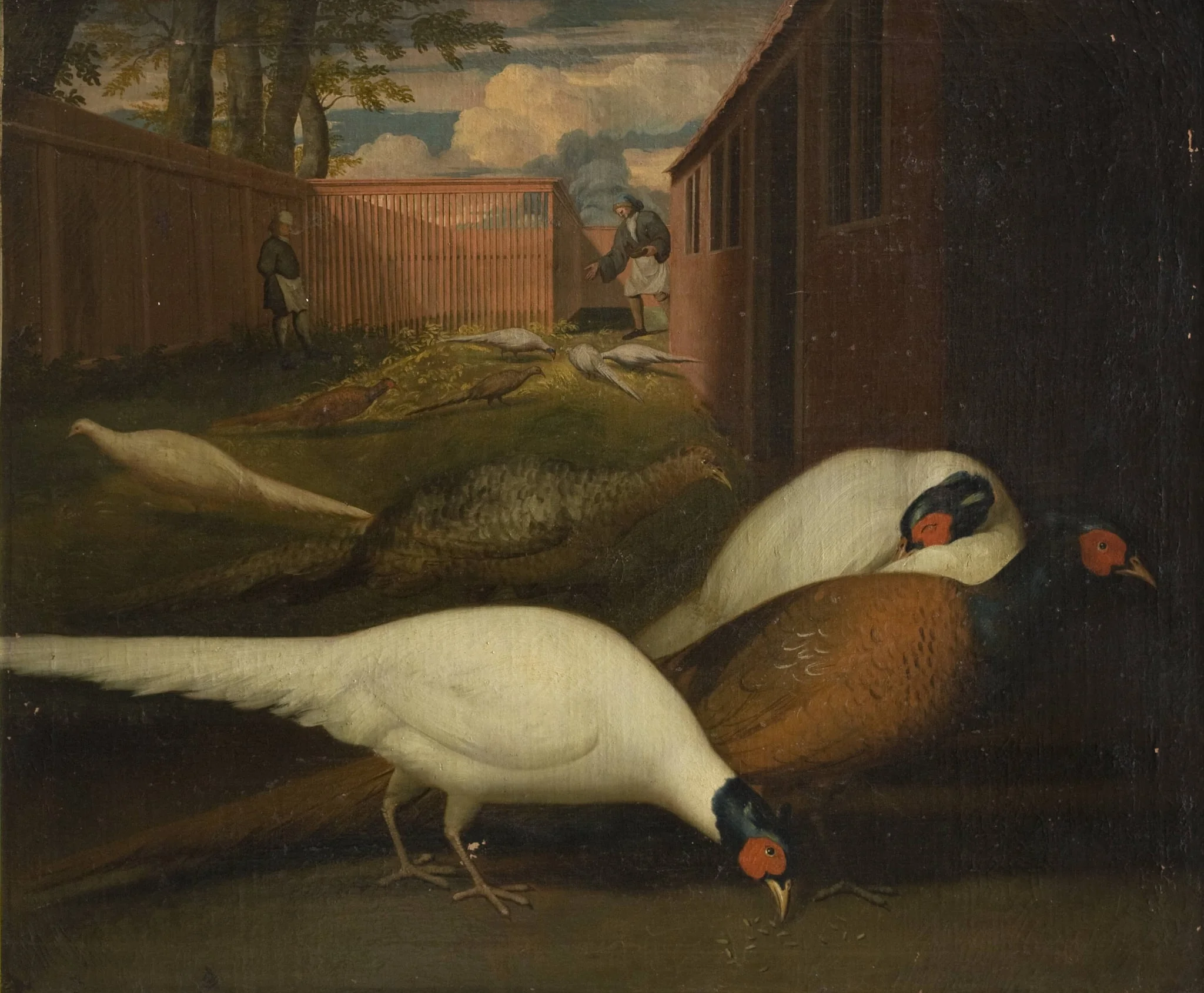Fasaner i et indelukke, by Unknown, 1750