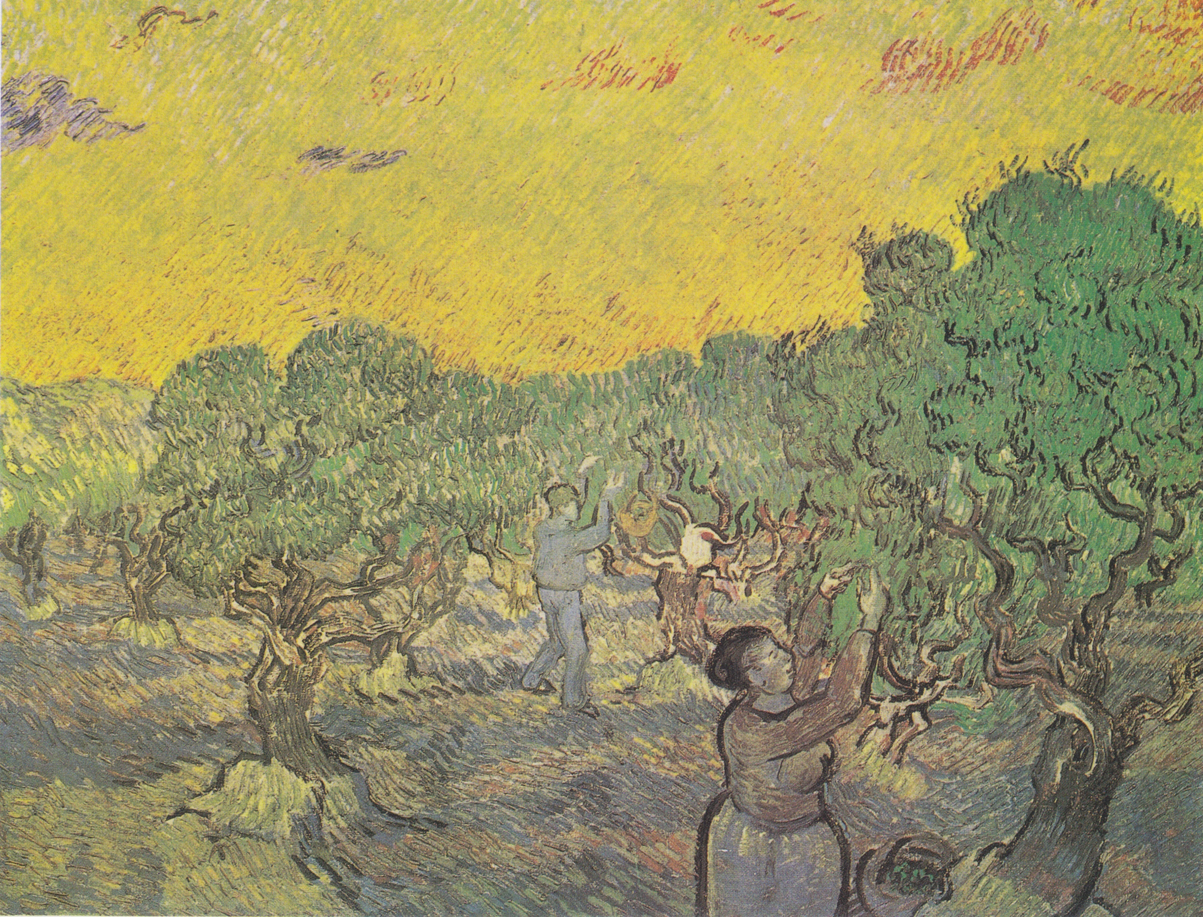 Olive Grove with Picking Figures