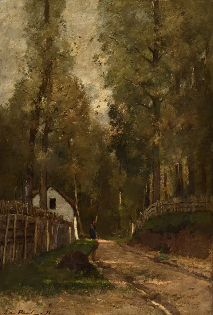 Morning in the Forest