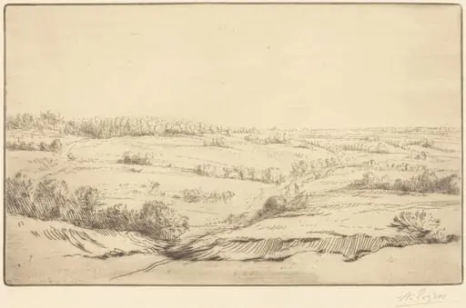 Plain (La plaine)