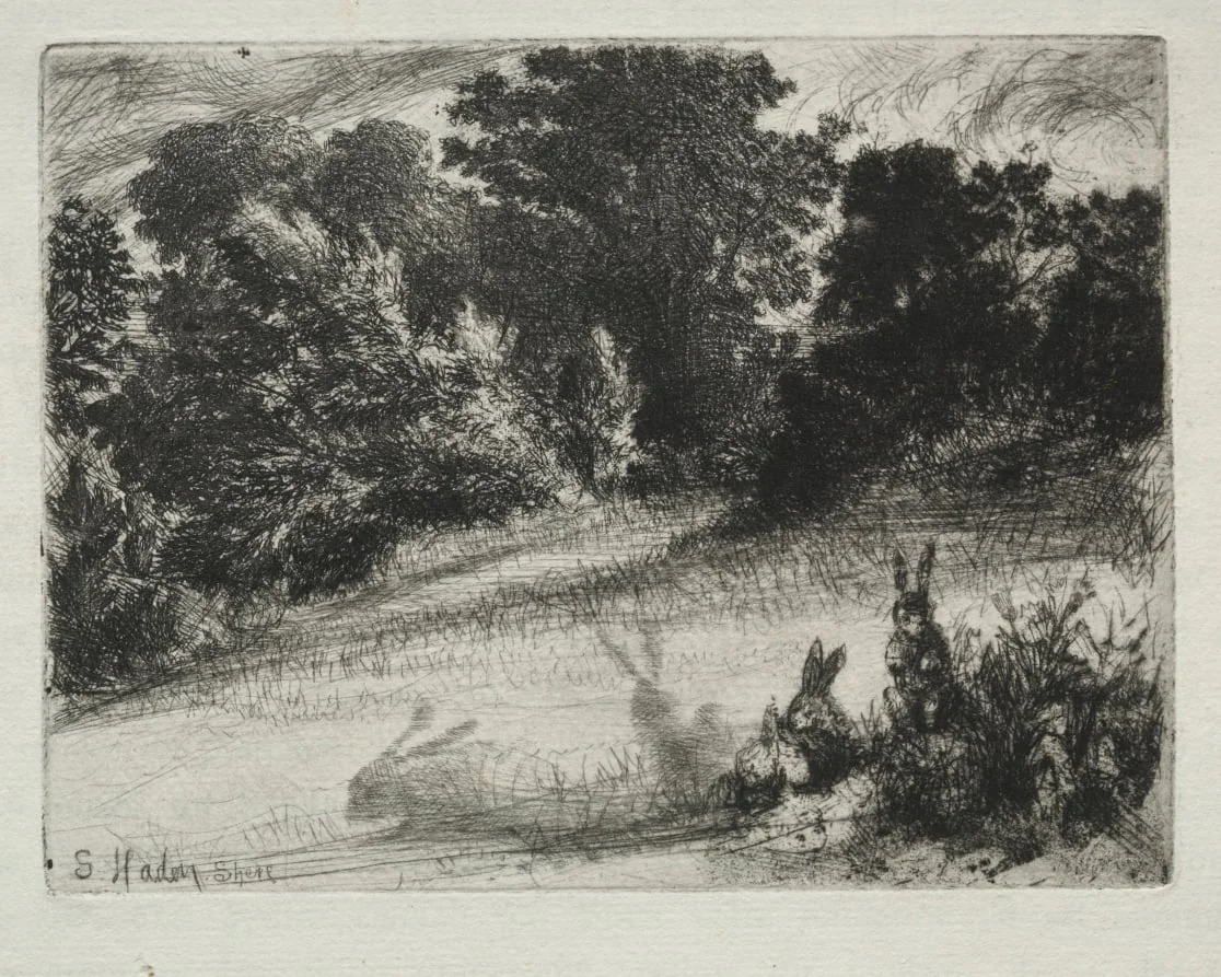 Combe Bottom