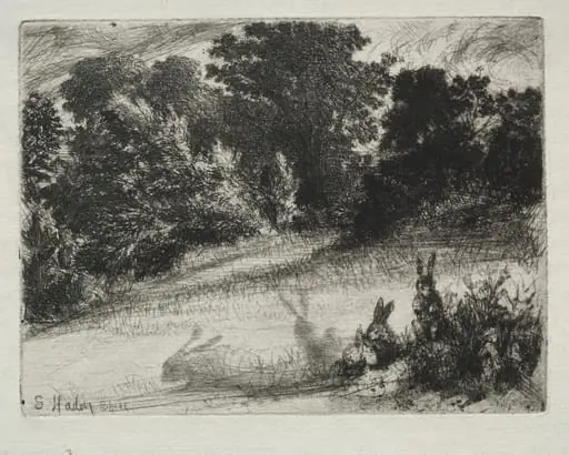 Combe Bottom