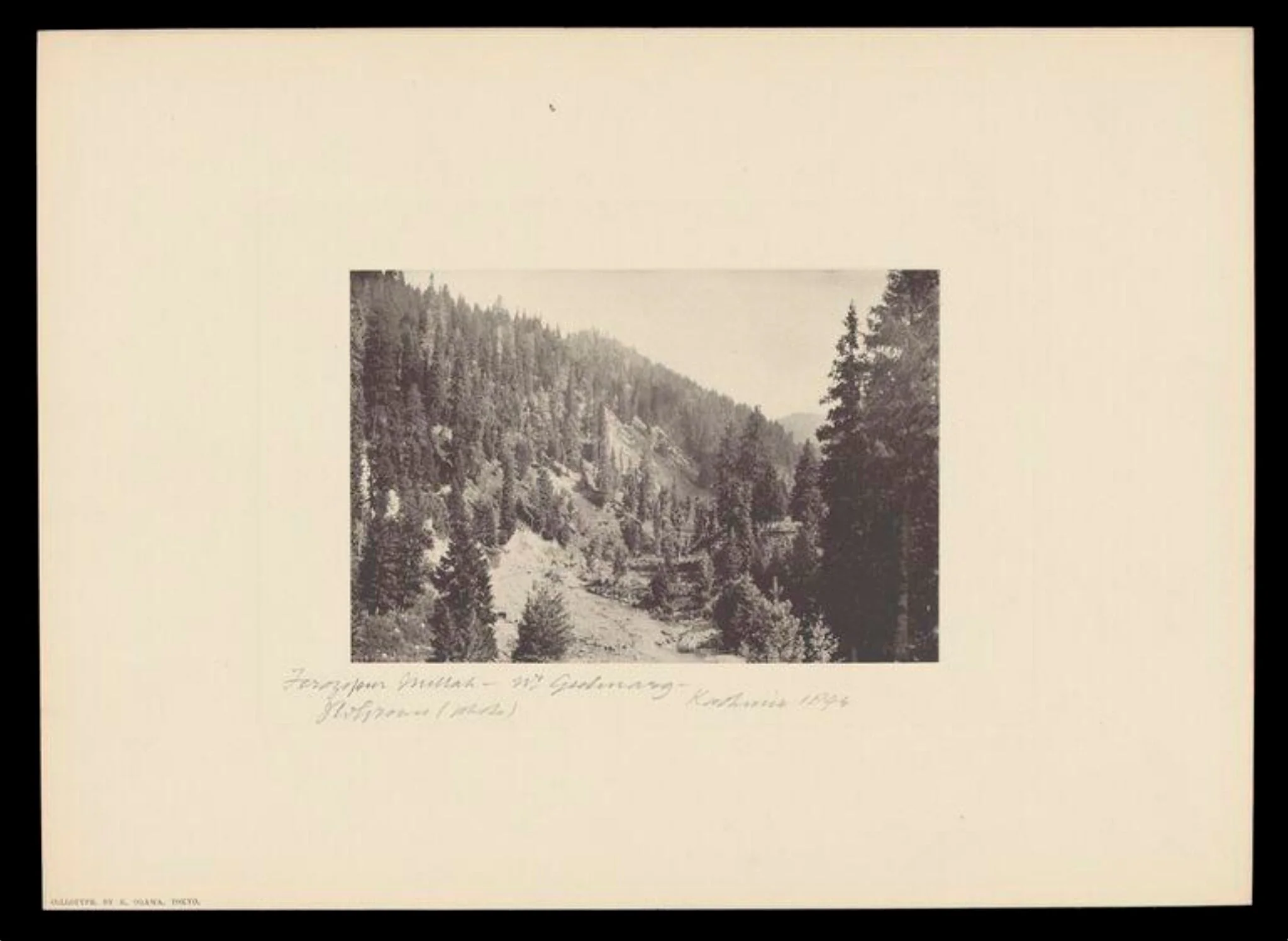 Gulmarg, Kashmir, by J.W. Groves, photographic, 1894