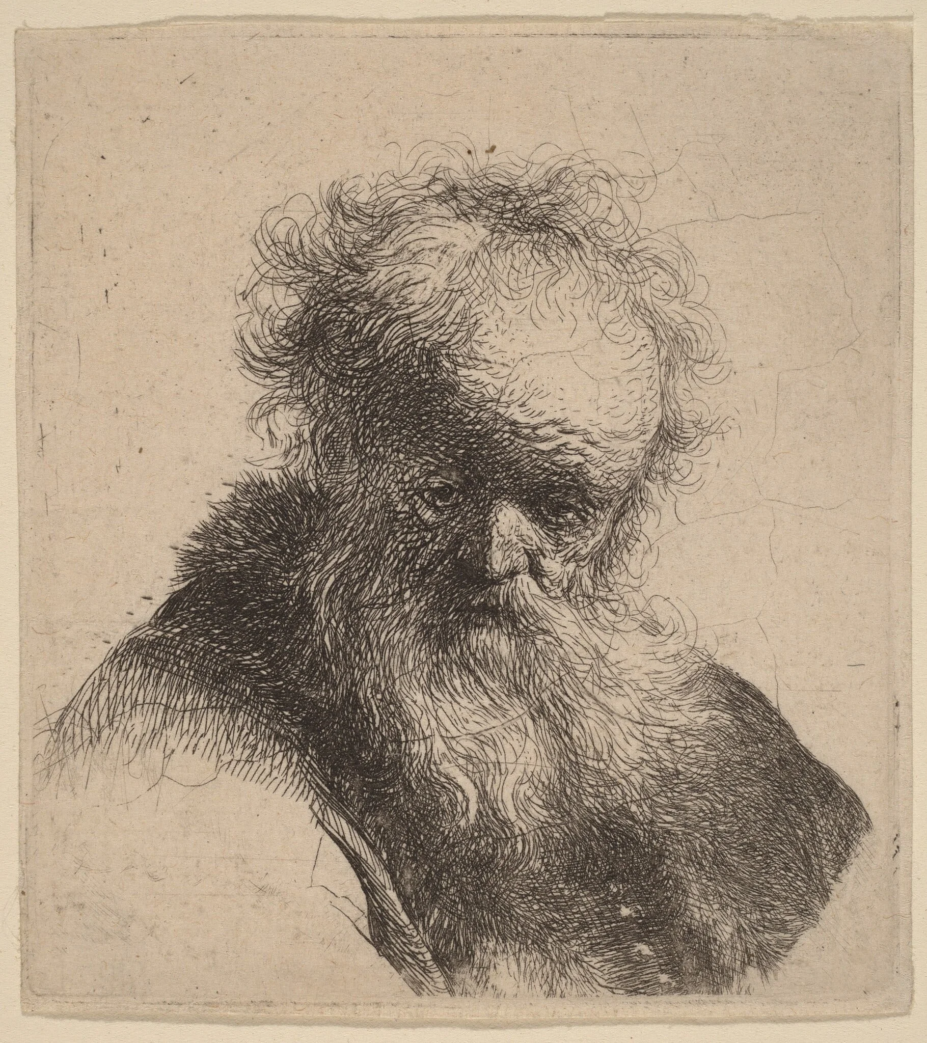 Bust of an Old Man with Flowing Beard and White Sleeve, by Rembrandt, ink, 1630