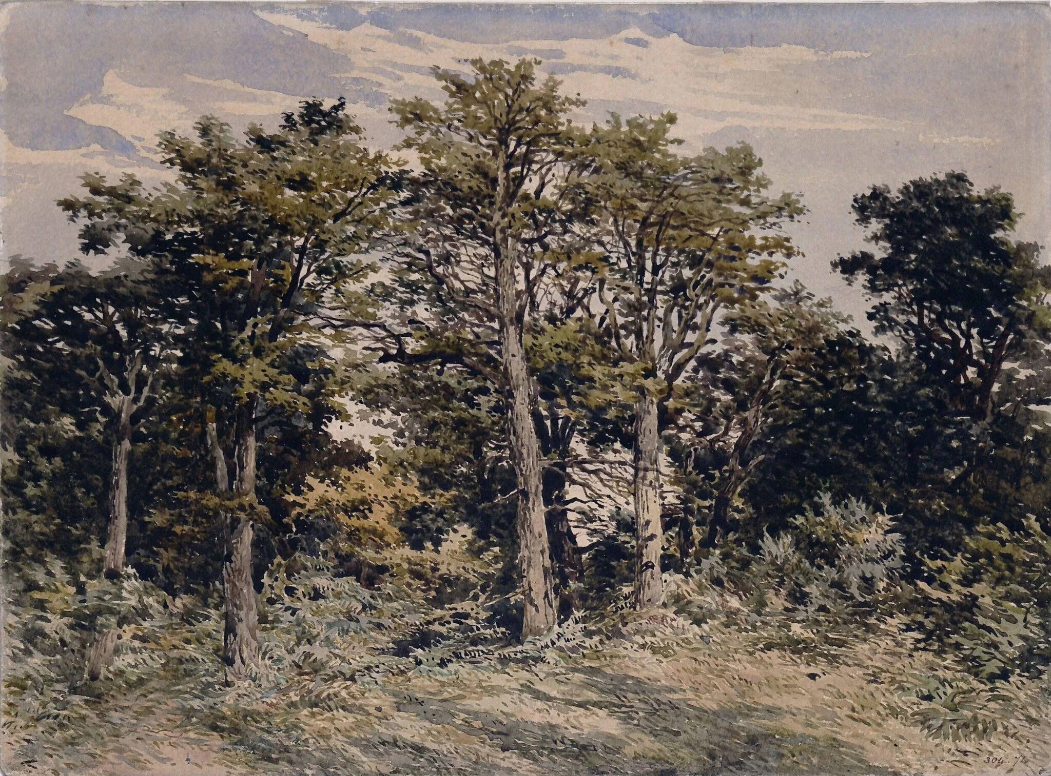 Study of trees, by Pyne, watercolor, 1825