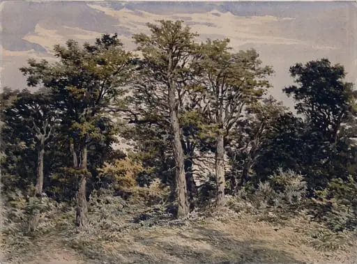 Study of trees