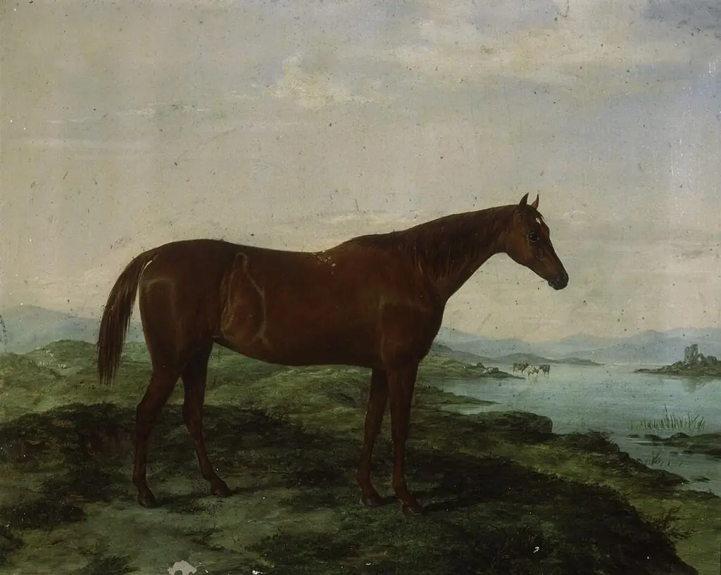 Portrait of hunter Molly Hick