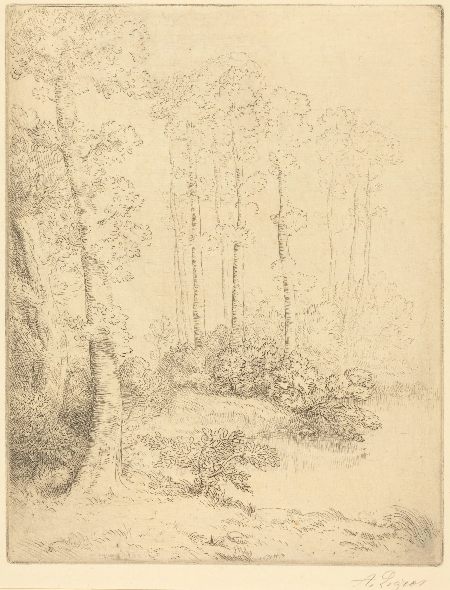 Edge of the Water (Au bord de l'eau), by Alphonse Legros, ink, 1874