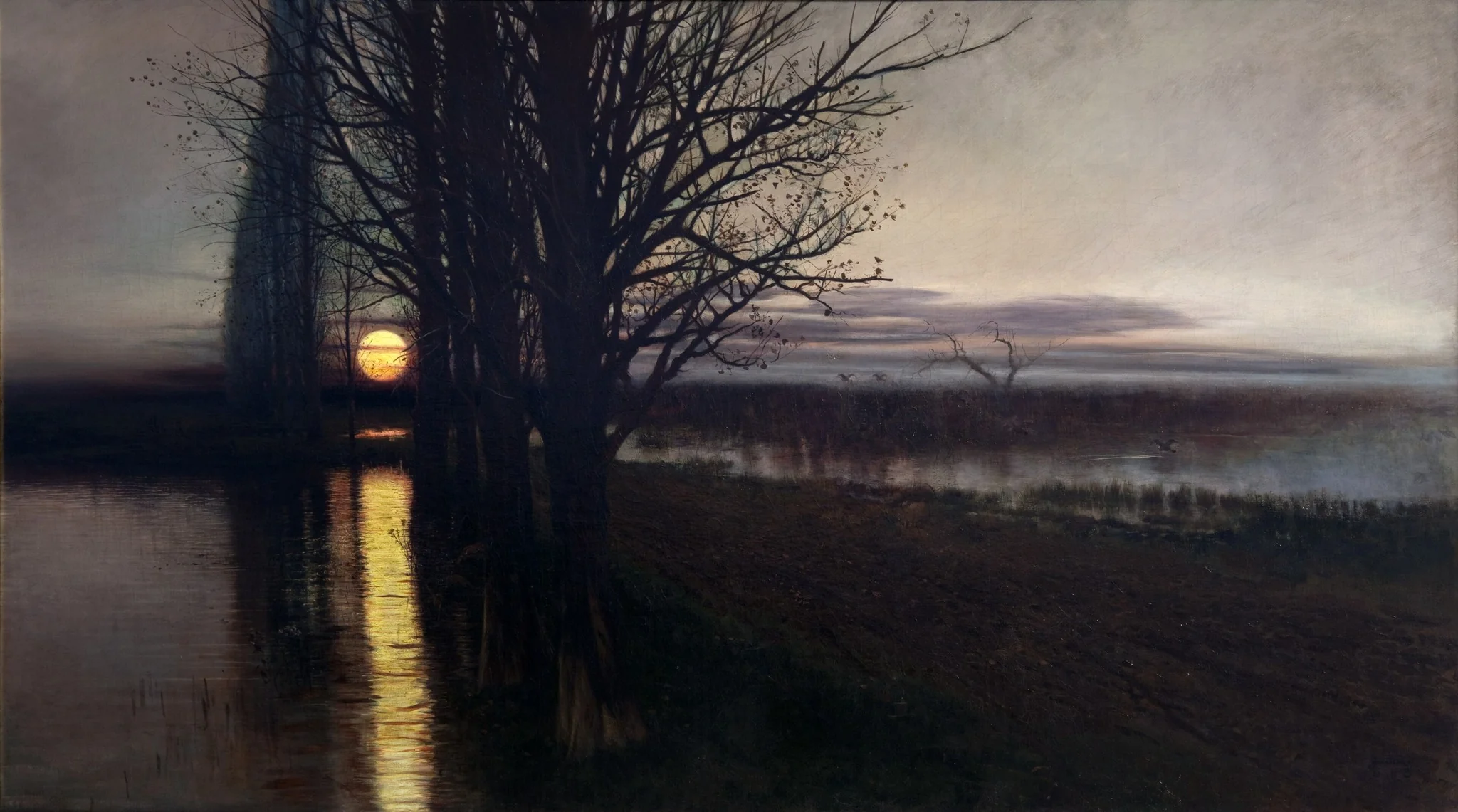 Moonrise