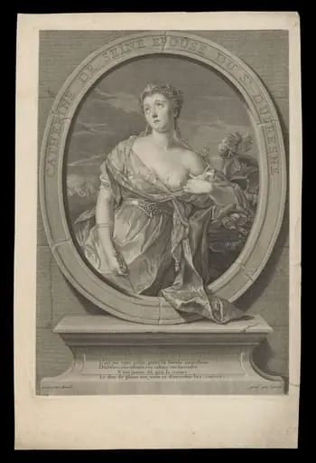 H Beard Print Collection