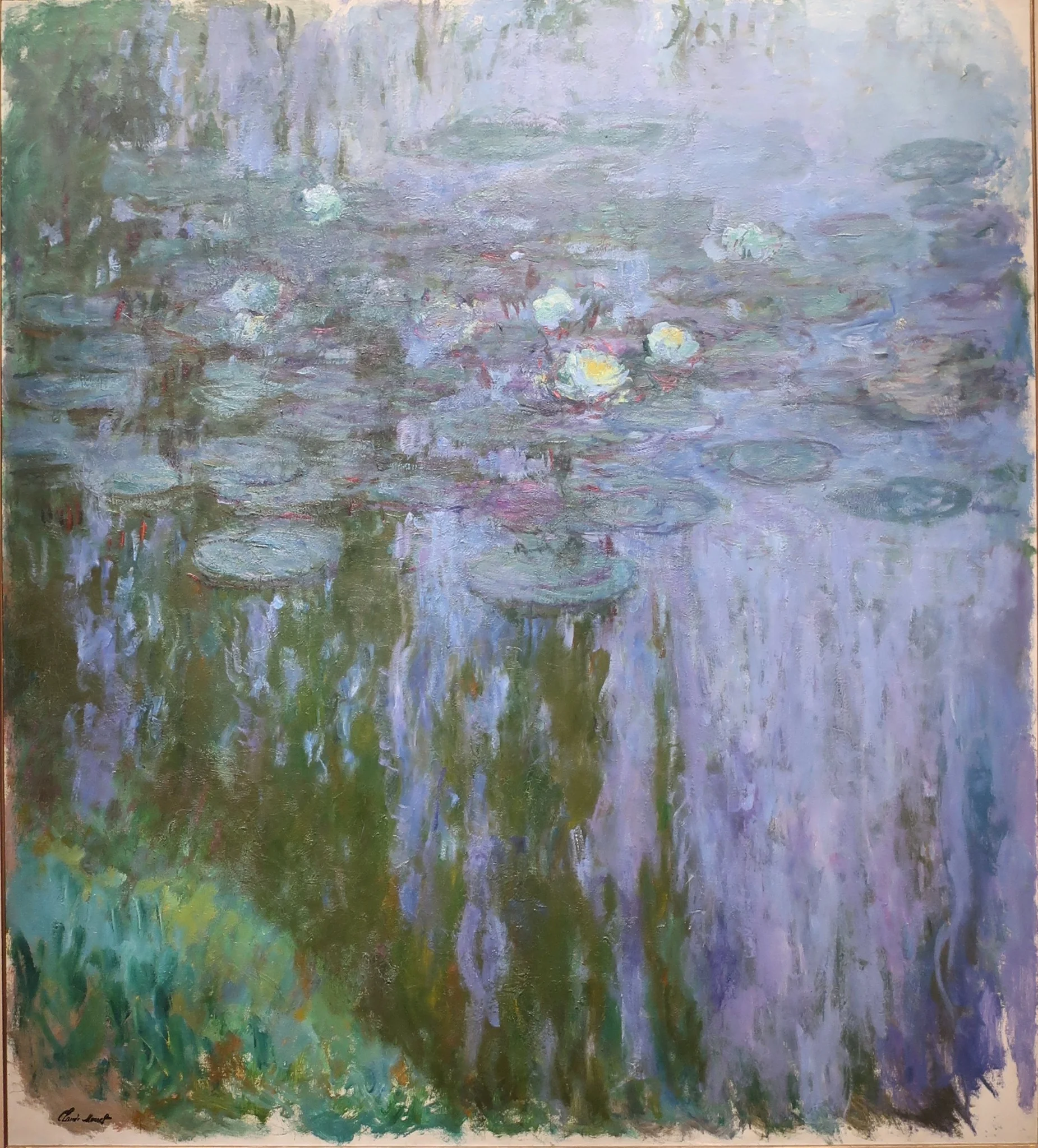 Nympheas