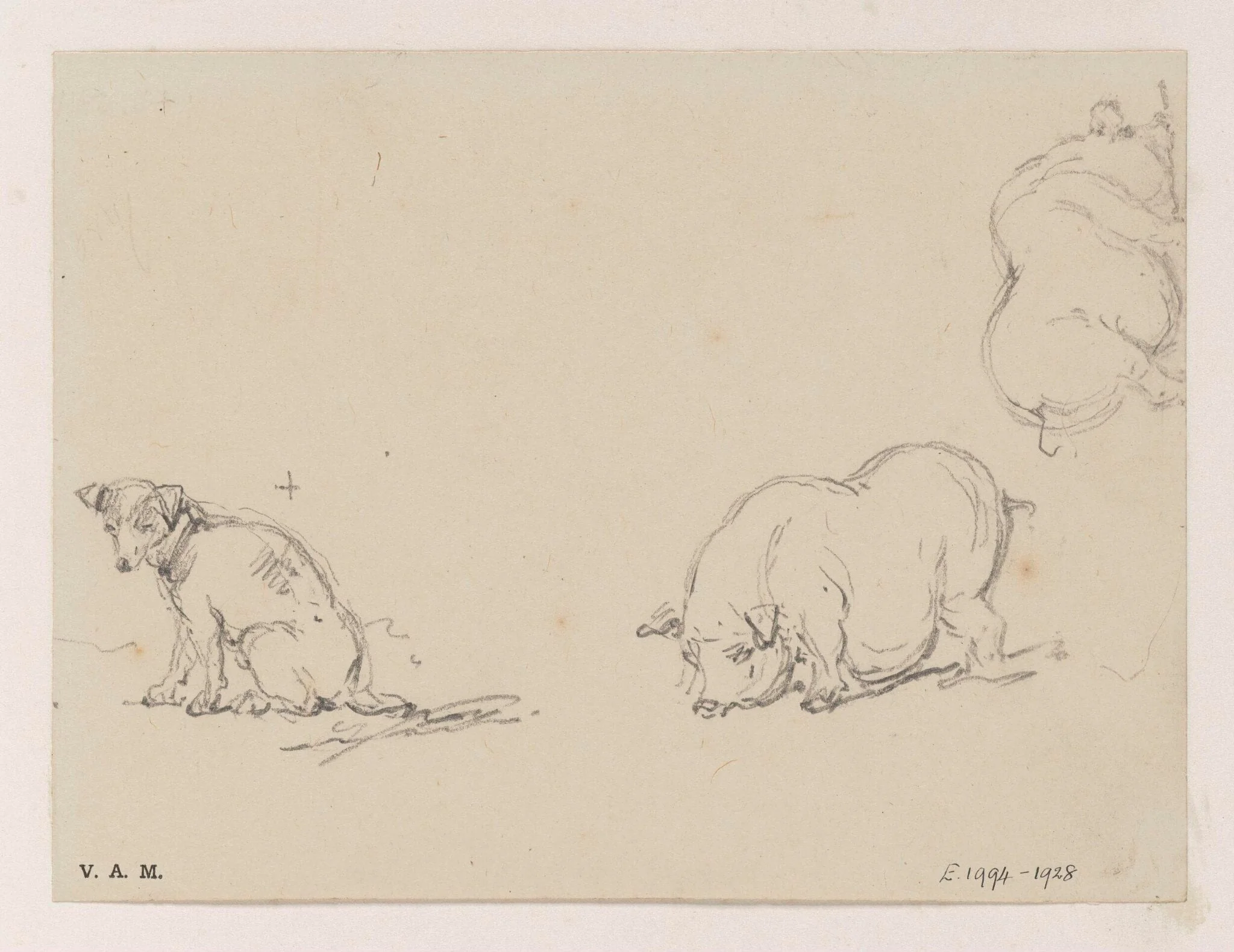 Pigs and a dog, by George Chinnery, 19