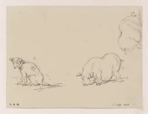 Pigs and a dog