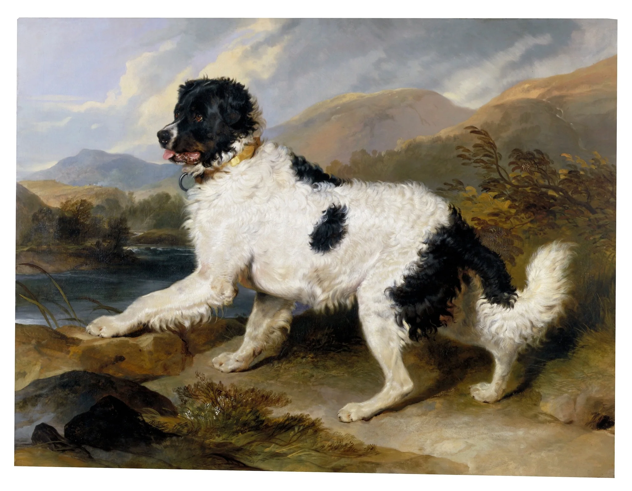 'Lion', a Newfoundland Dog, by Edwin Landseer, oil, 1824