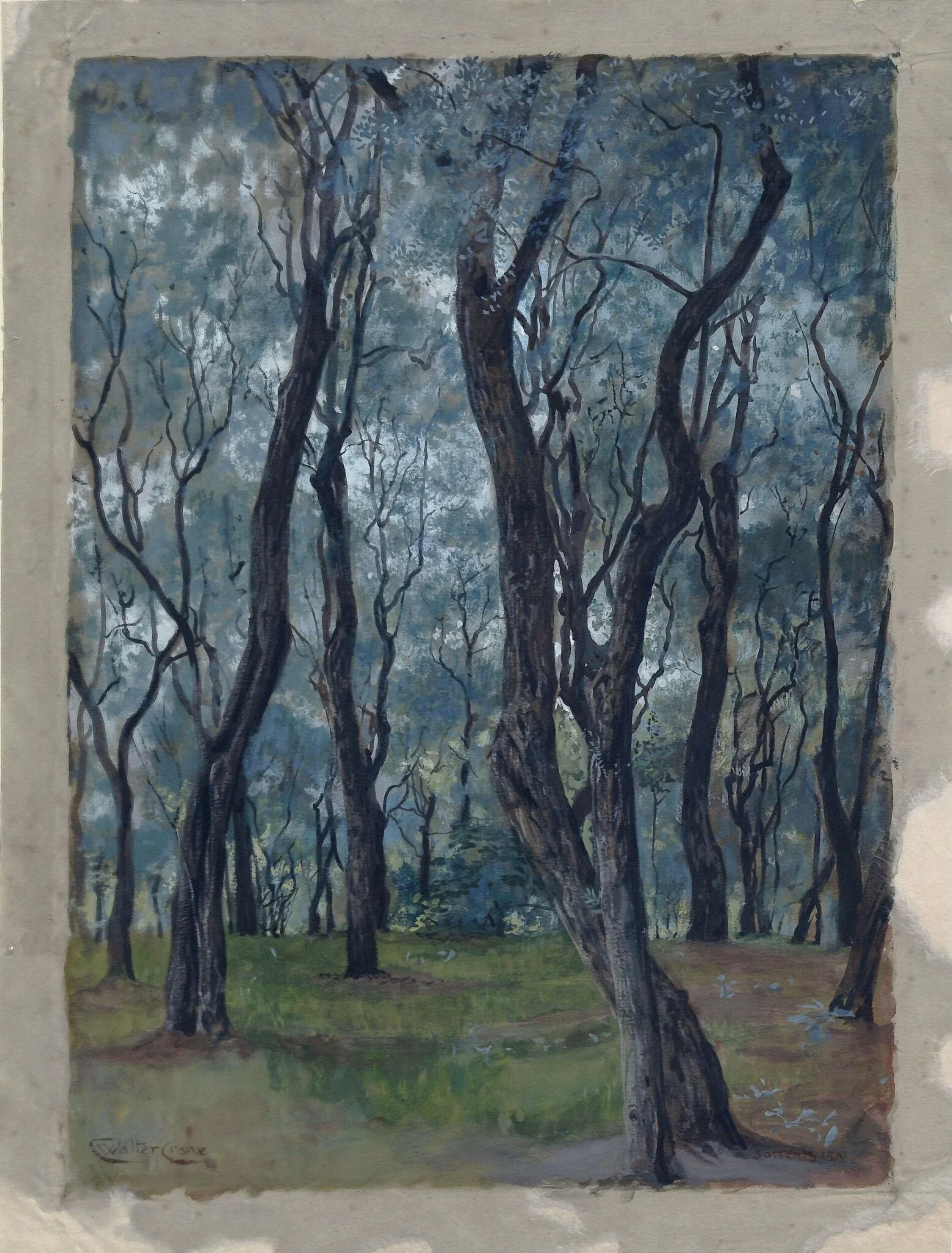 Trees near Sorrento, Bay of Naples