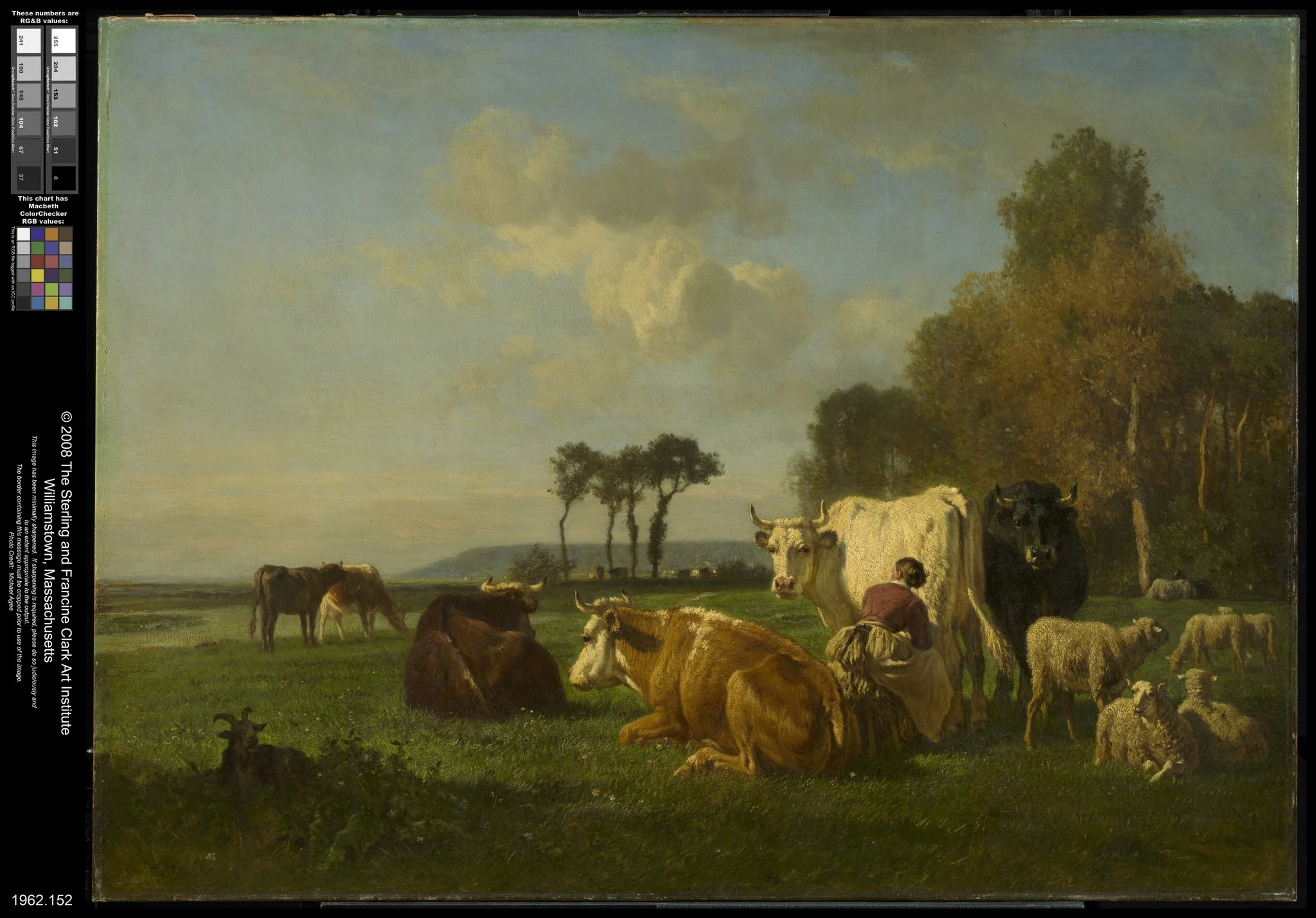 Cattle and Sheep in a Landscape, by Constant Troyon, oil, 1855