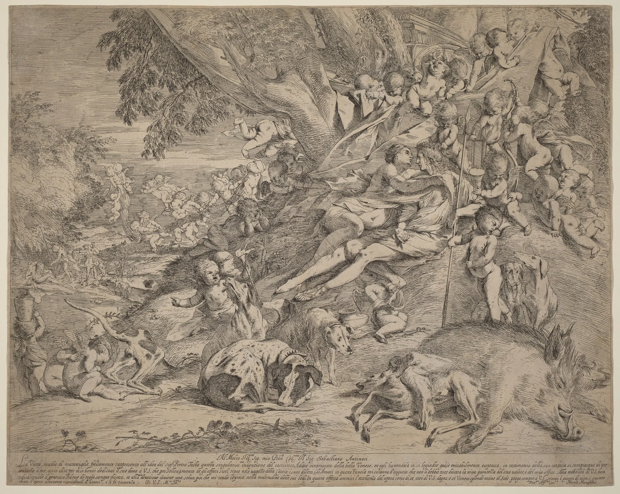 Venus and Adonis