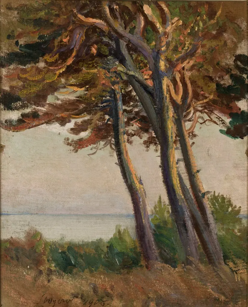 Pines at Połąga