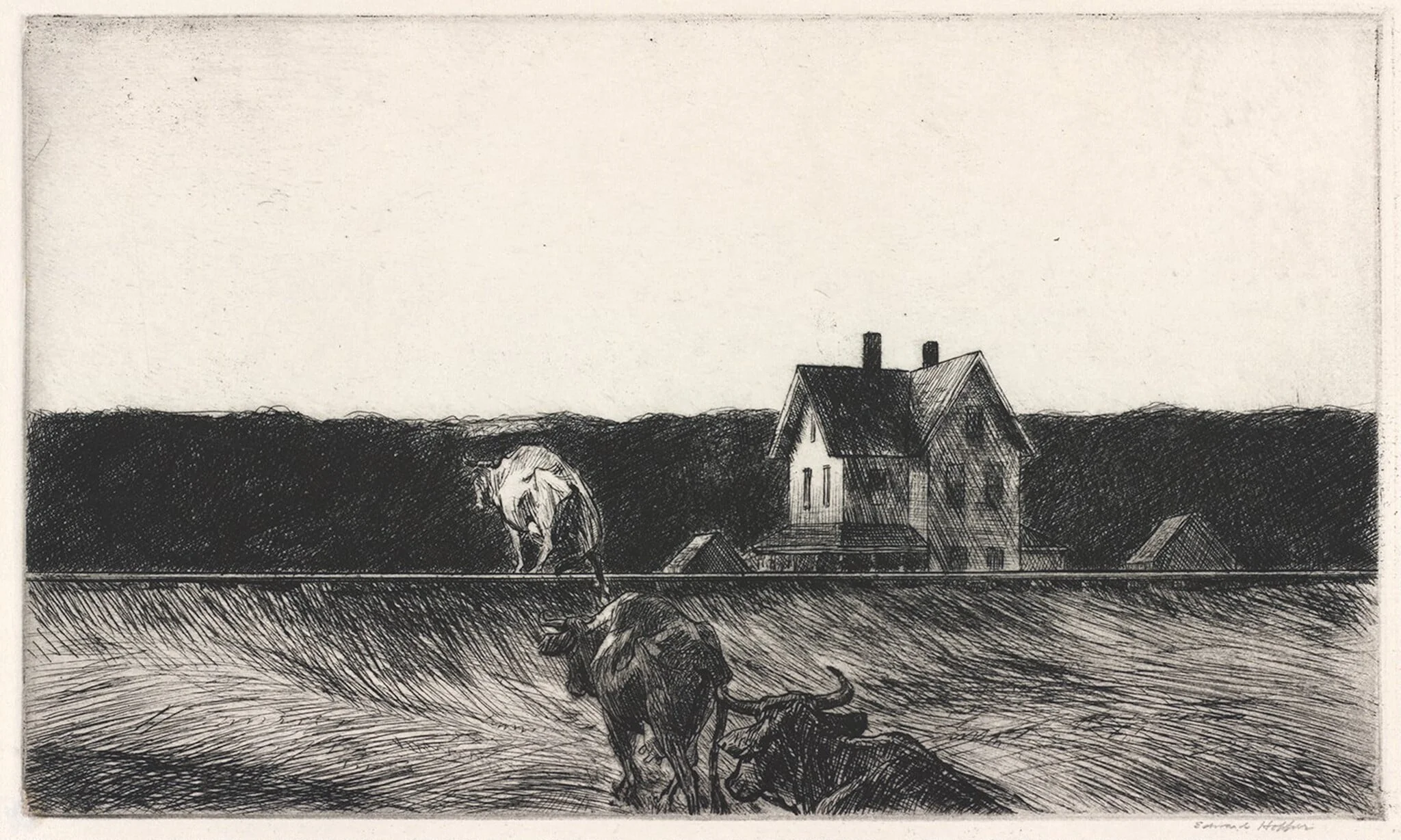 American Landscape