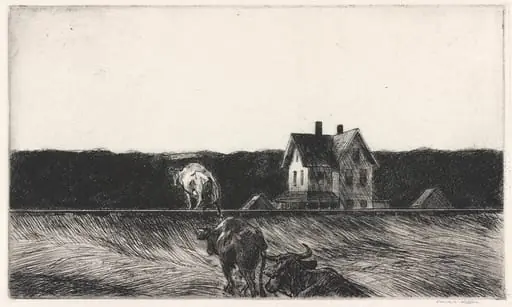 American Landscape