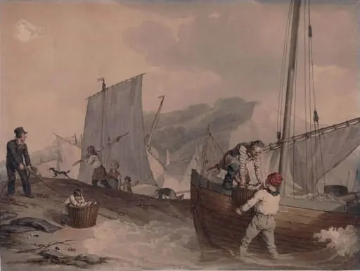 Fishing Boats Unloading