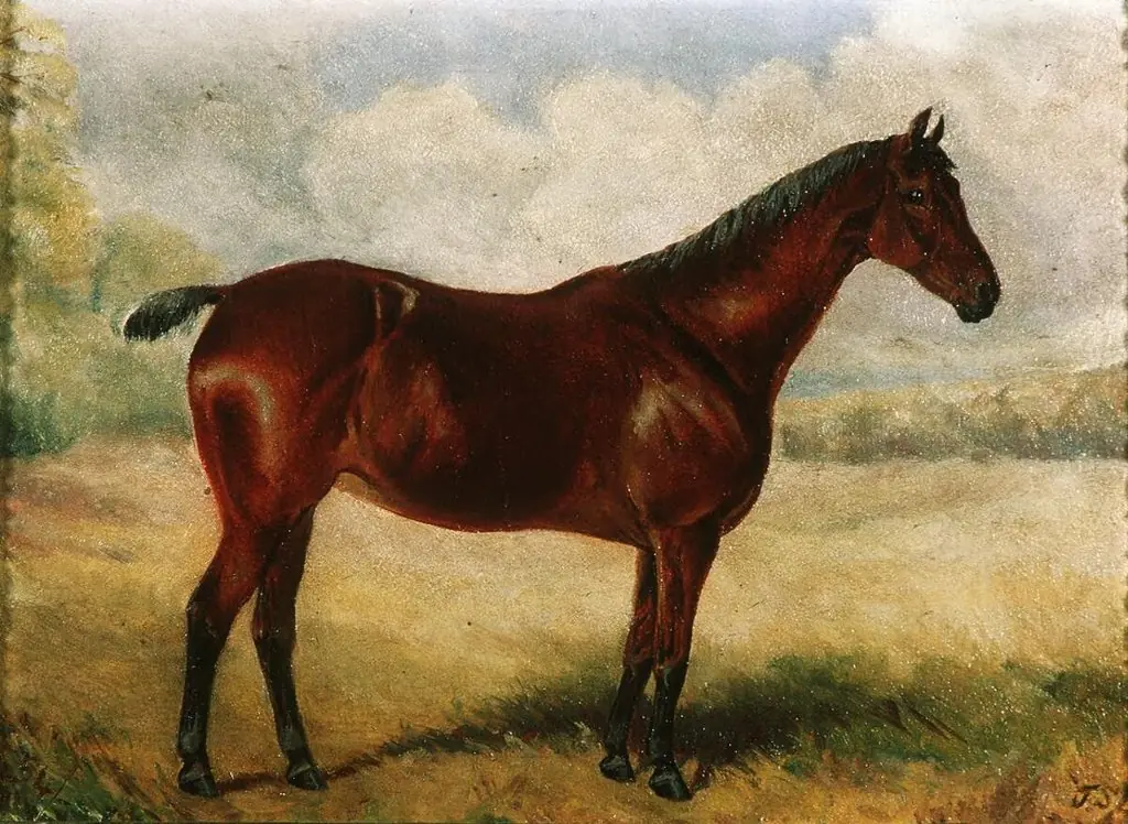 Portrait of a hunter